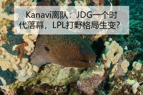 Kanavi离队：JDG一个时代落幕，LPL打野格局生变？